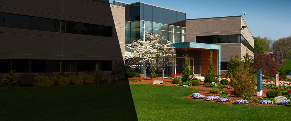 Sarasota Landscapers